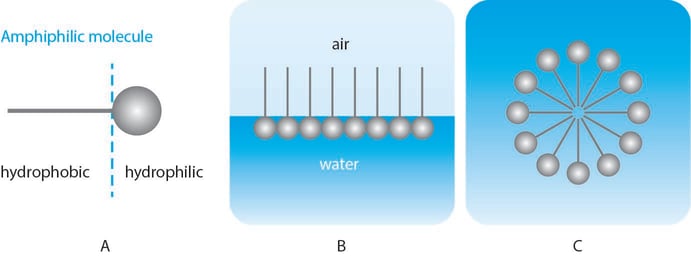 What are surfactants and how do they work?