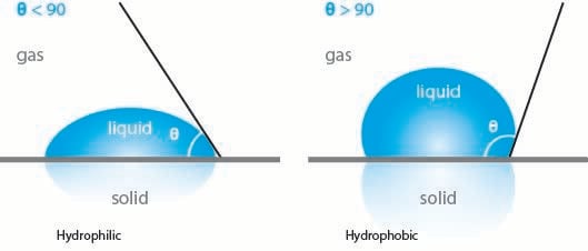 Hydrophilic vs hydrophobic-1