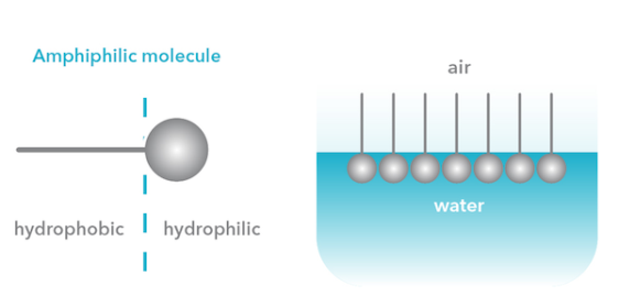 hydrophobic-hydrophilic.png