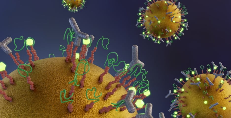 LB for biosensor