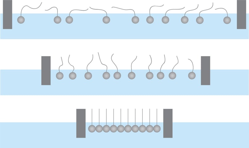 Langmuir film