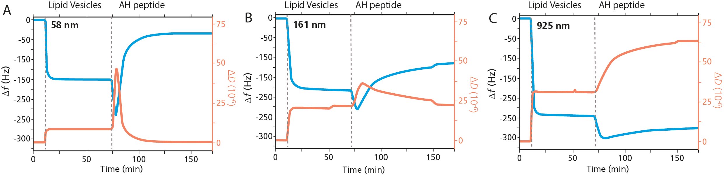 QCM-D analysis of AH peptide vesicle interaction