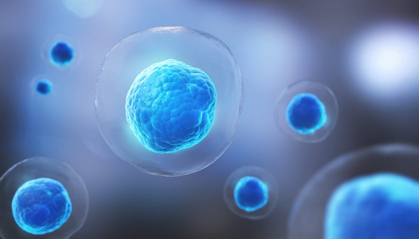 Single cell trapping