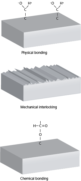 Adhesion mechanisms