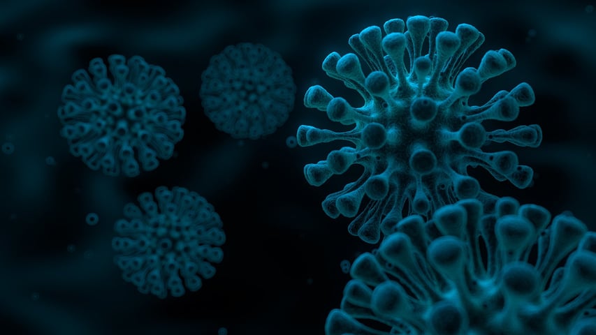 Using QCM-D in the development of broad-spectrum antiviral drugs