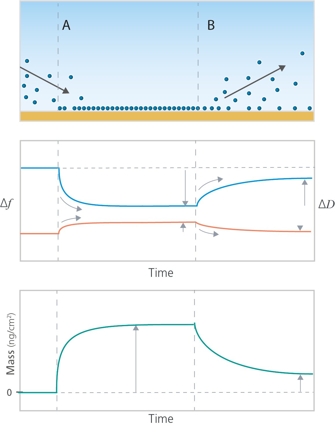 Adsorption and desorption analysis