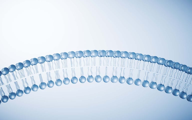 Using QCM-D for antimicrobial detergent testing