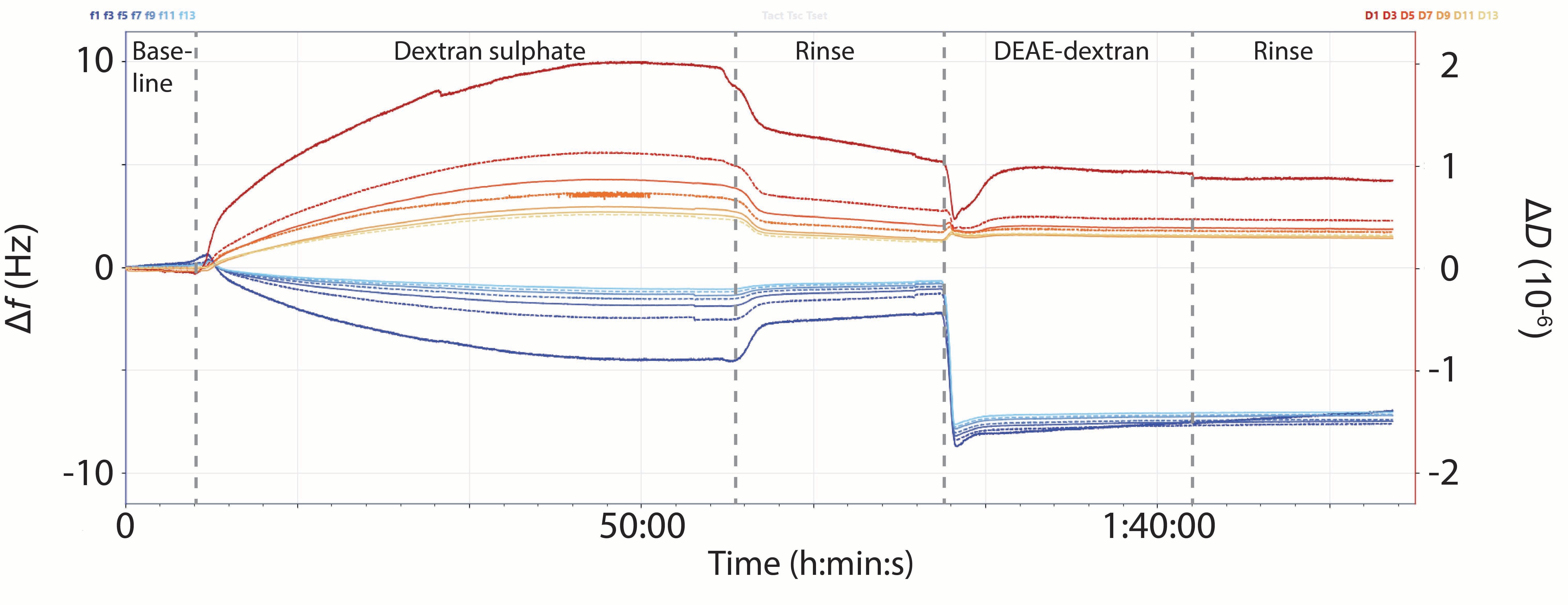 QSense Core One QCM-D measurement of PEM