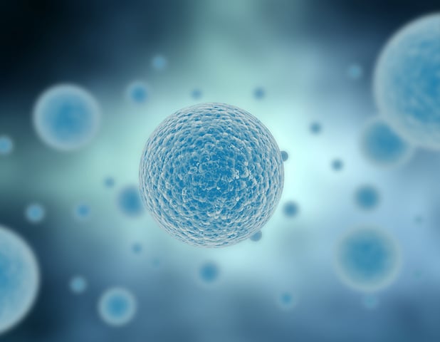 Model membranes - How to characterize with QCM-D