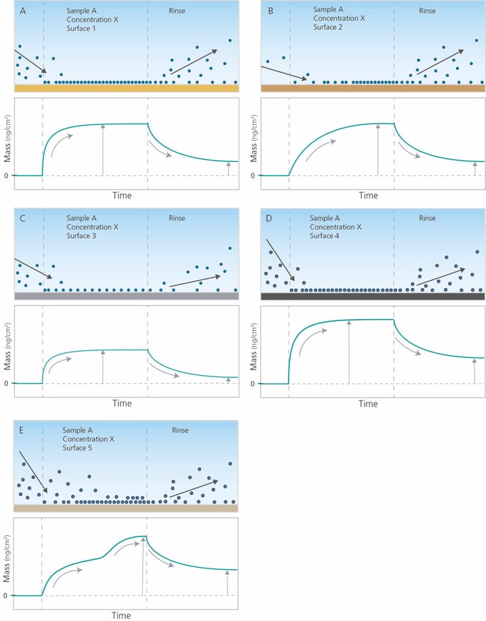 Molecule adsorption and desorption different surfaces same sample and multilayer