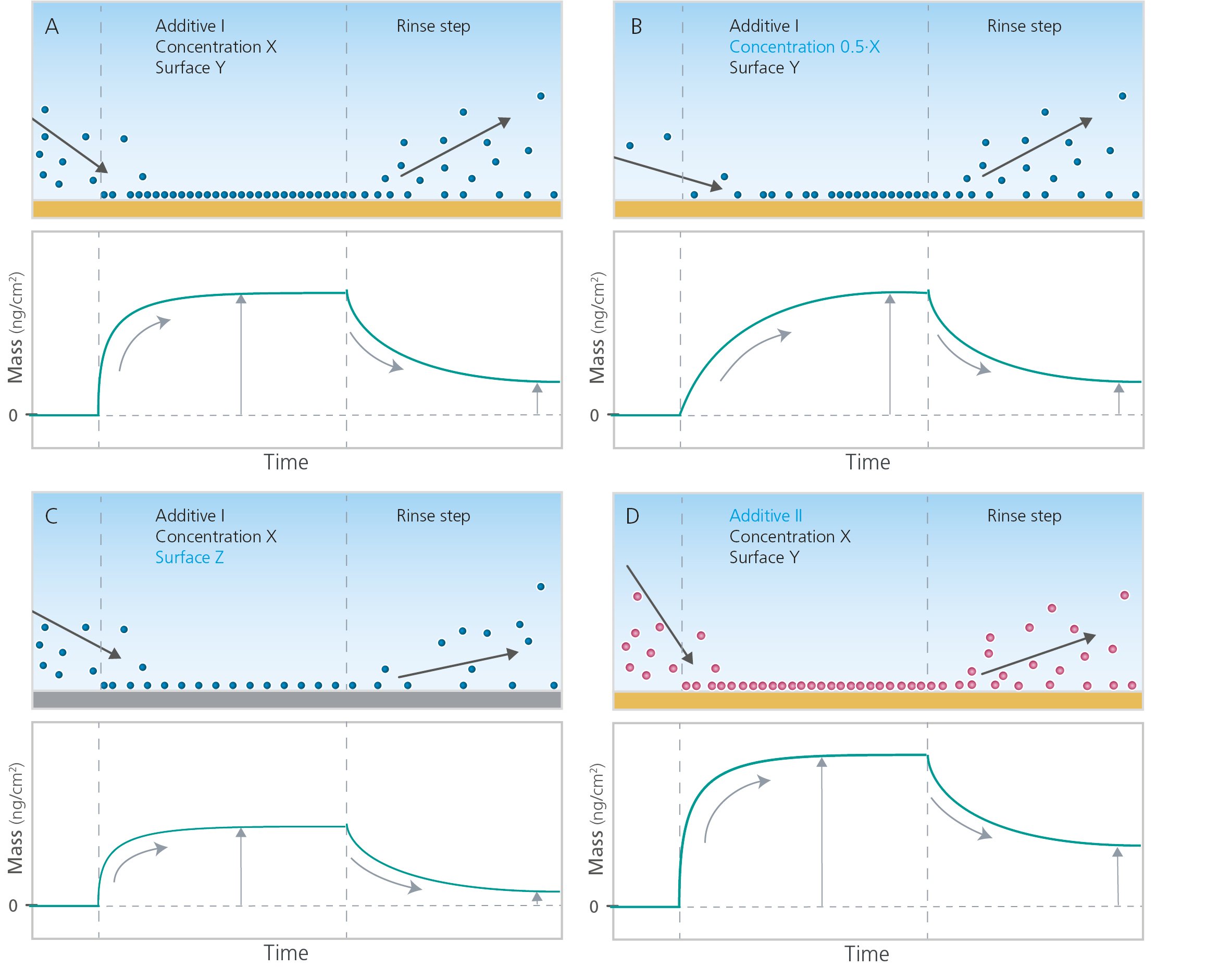 Molecule adsorption and desorption example CMP