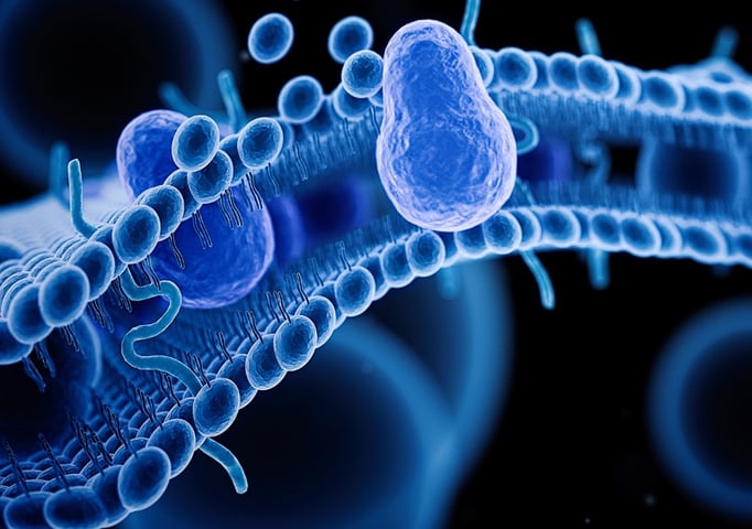 7 analytical methods for model membrane characterization