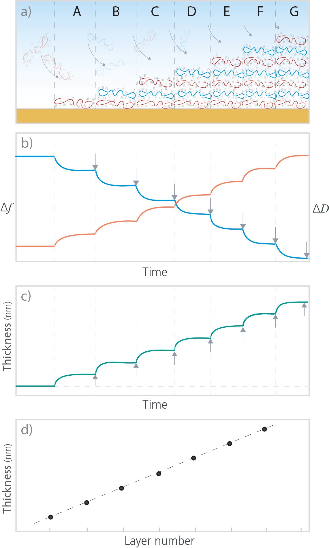 Polymer_ PEM buildup