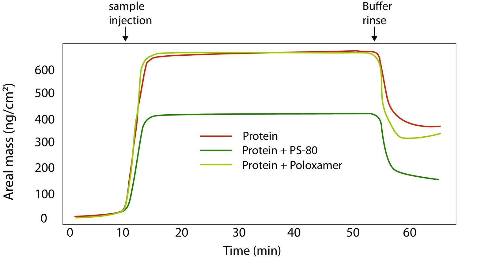 Protein adsorption to Silicone oil with and without surfactant-1