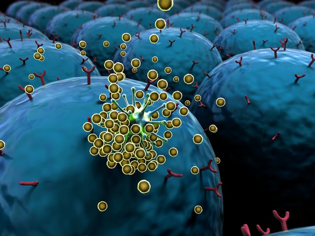 QSense analysis in virus research – a user case example