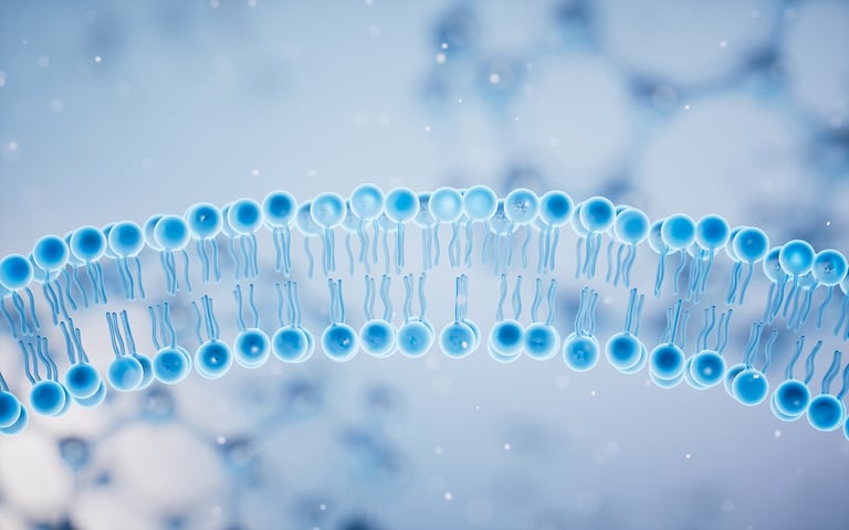 Using QCM-D in the field of membrane biophysics