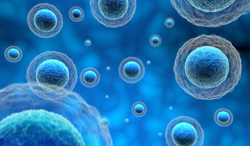 Using QCM-D and EQCM-D to develop new biosensor assays