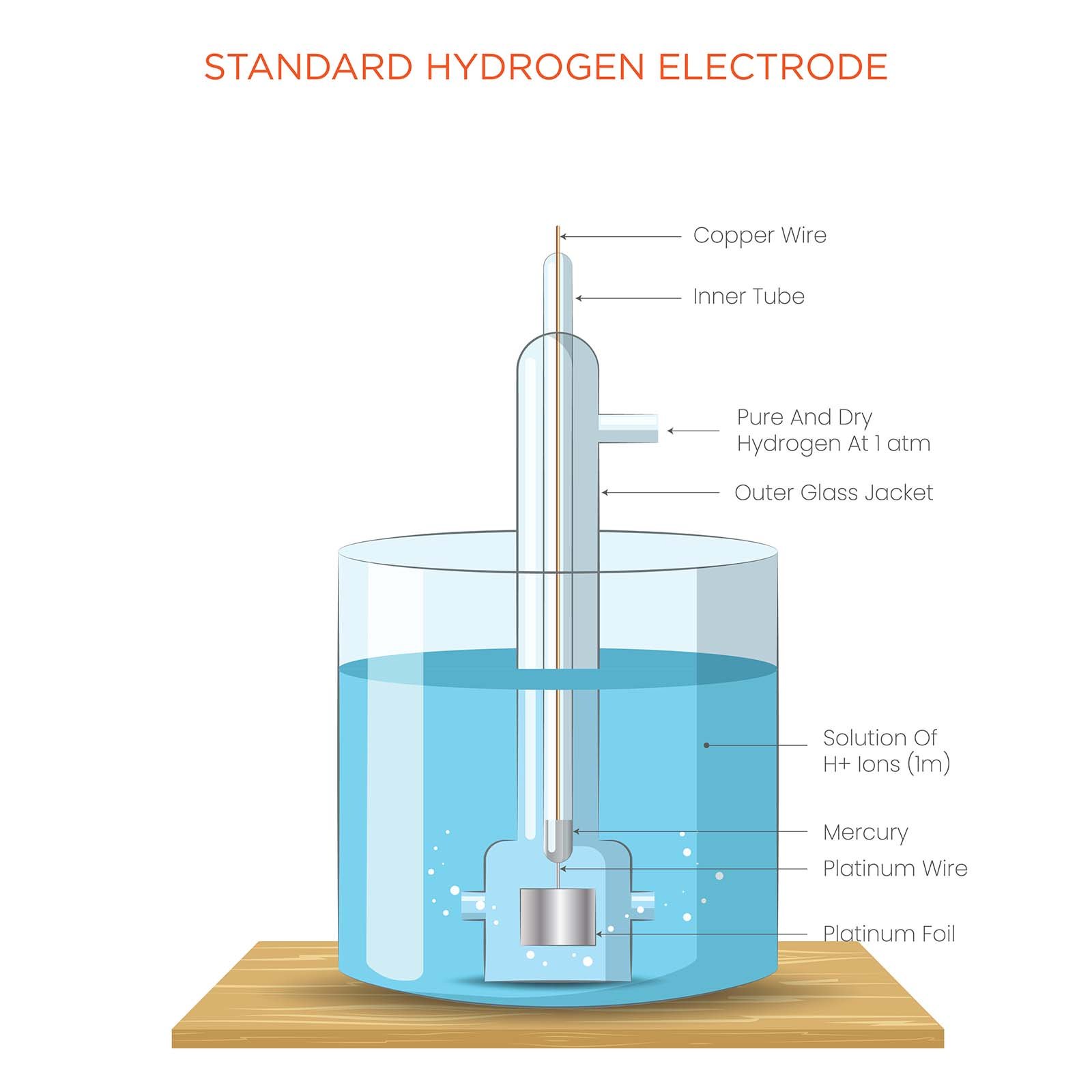 Reference electrode SHE