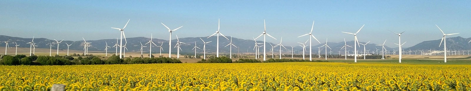 Renewable energy windmills