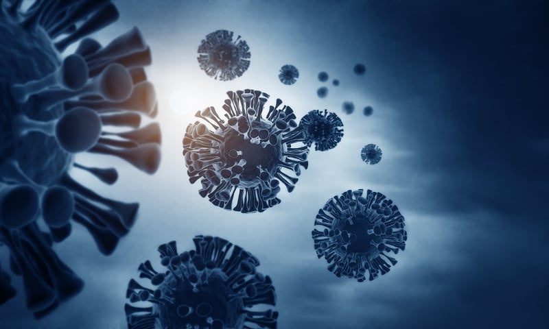 Study binding of viruses with QCM-D