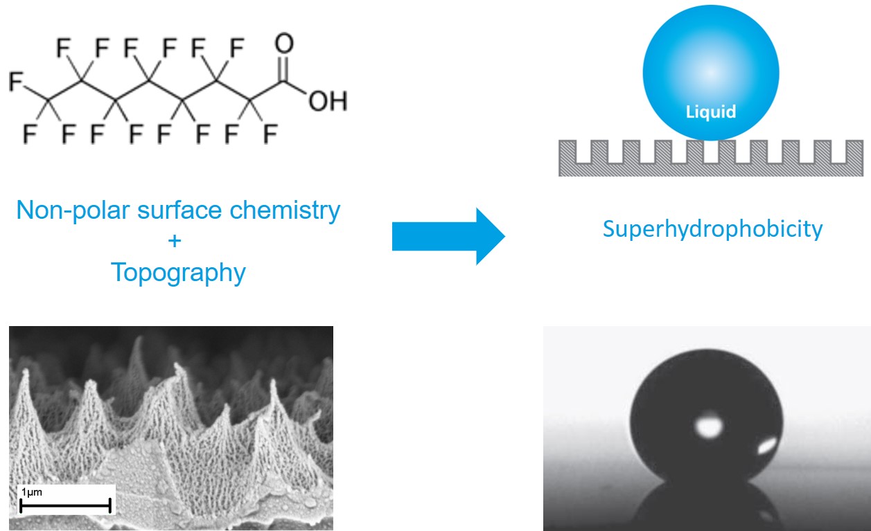 Superhydrophobicity explained