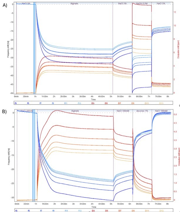 Water filtration membrane fouling and cleaning analysis with QCM-D