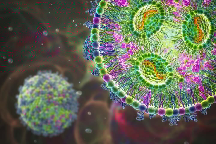 What are Lipid Nanoparticles?