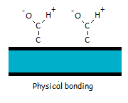 What is adhesion?