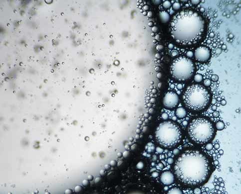 critical-micelle-concentration-measurement-485
