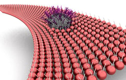 Investigating the Interactions of Lipid Interfaces with Nanomaterials