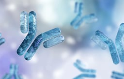 Adsorption and Aggregation of Monoclonal Antibodies at Silicone Oil-Water Interfaces