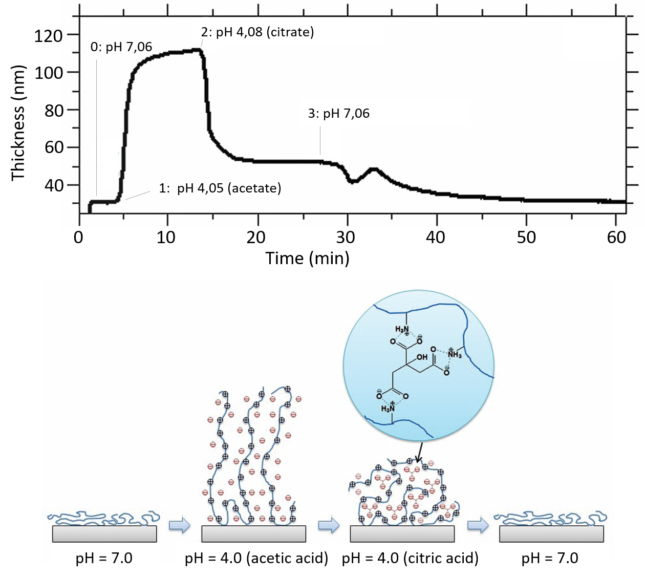 Thin film crosslinking.png