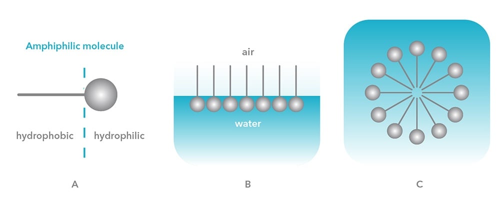 Critical-Micelle-Concentration2.jpg