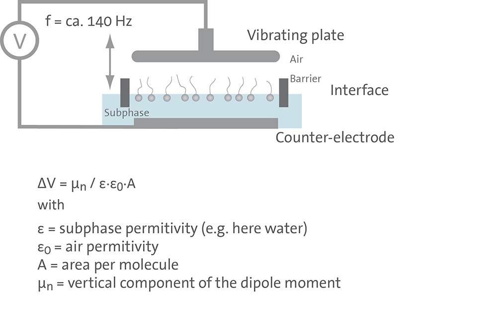 KN_VibratingPlate_with_monolayer.jpg