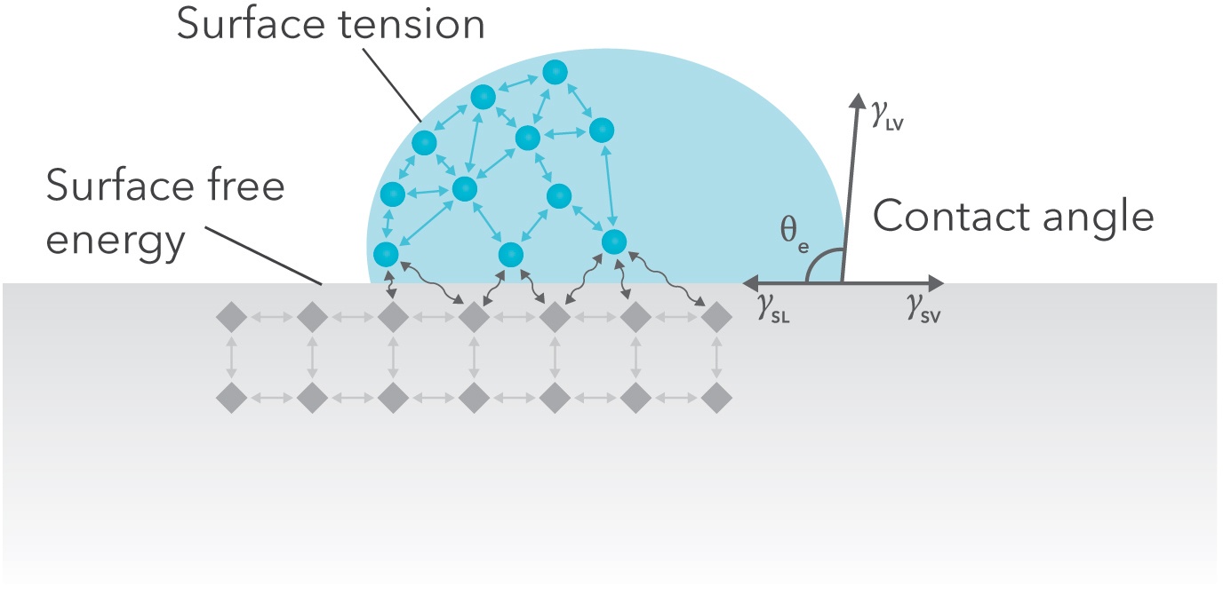 Surface Free Energy Measurements