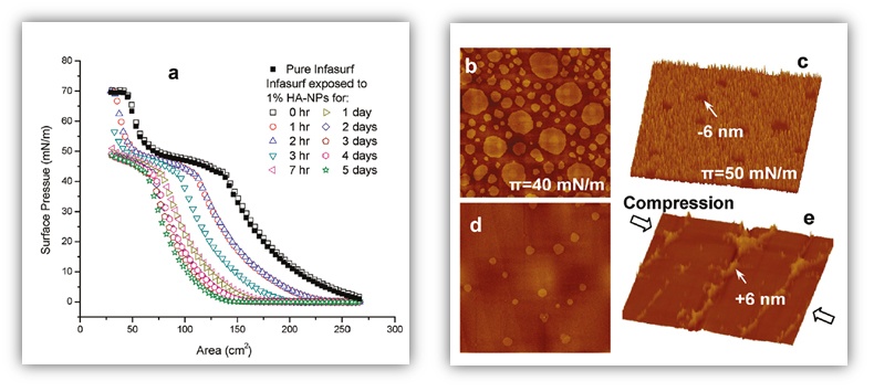 biomolecular-interaction-nanotoxicology.jpg